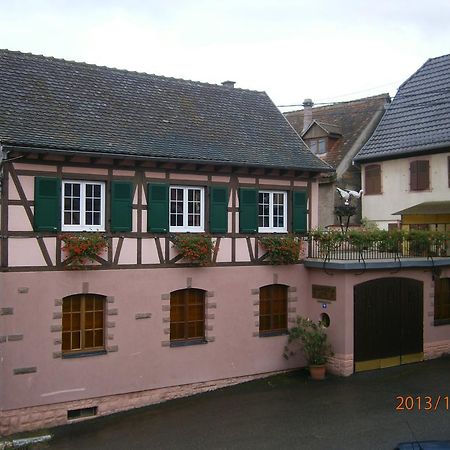 Gite Au Nid De Cigognes Villa Dieffenthal Ngoại thất bức ảnh