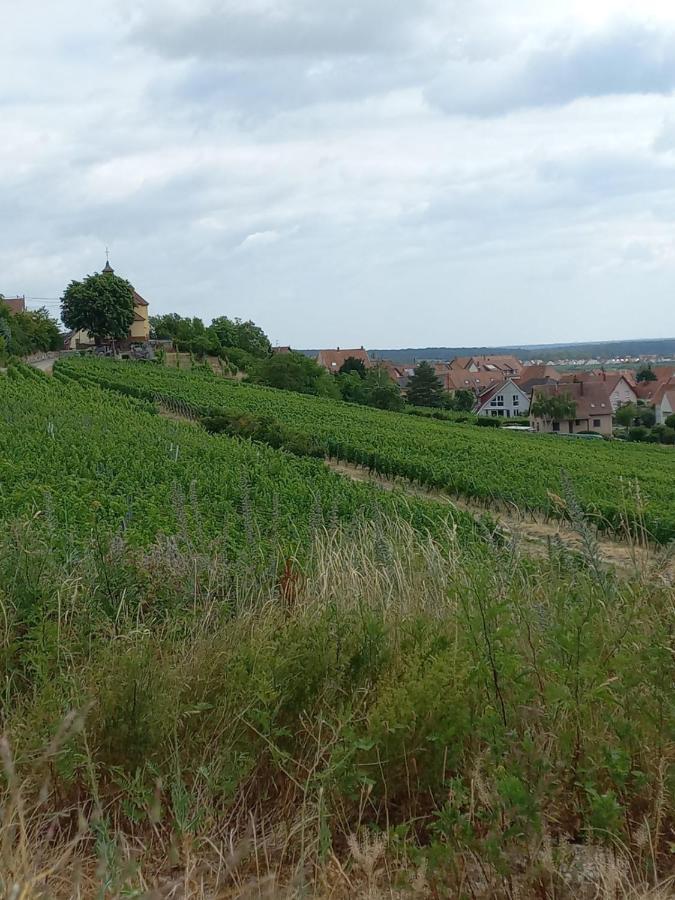 Gite Au Nid De Cigognes Villa Dieffenthal Ngoại thất bức ảnh