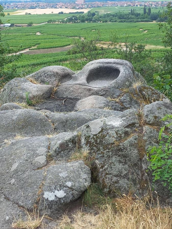 Gite Au Nid De Cigognes Villa Dieffenthal Ngoại thất bức ảnh
